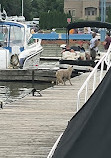 Port Credit Lighthouse