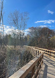 Rattray Marsh Conservation Area