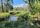 Rattray Marsh Conservation Area