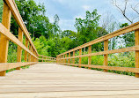 Rattray Marsh Conservation Area