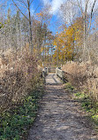 Rattray Marsh Conservation Area