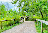 Rattray Marsh Conservation Area