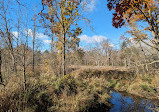 Rattray Marsh Conservation Area