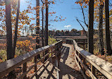 Rattray Marsh Conservation Area