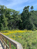 Rattray Marsh Conservation Area