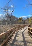 Rattray Marsh Conservation Area