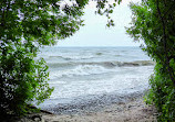 Rattray Marsh Conservation Area