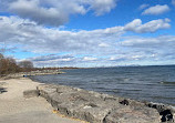 Rattray Marsh Conservation Area