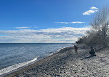 Rattray Marsh Conservation Area