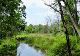 Rattray Marsh Conservation Area