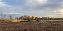 Área de conservación de Rattray Marsh