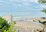 Rattray Marsh Conservation Area