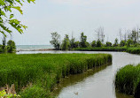 Rattray Marsh Conservation Area