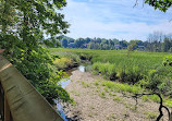 Rattray Marsh Conservation Area