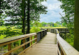 Rattray Marsh Conservation Area