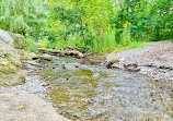 Rattray Marsh Conservation Area