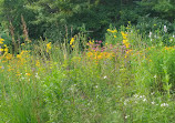 Rattray Marsh Conservation Area