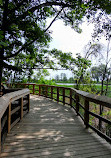 Rattray Marsh Conservation Area