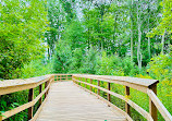 Rattray Marsh Conservation Area