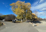 Rattray Marsh Conservation Area