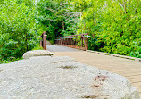 Rattray Marsh Conservation Area