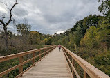 Rattray Marsh Conservation Area