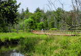 Rattray Marsh Conservation Area