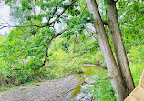 Rattray Marsh Conservation Area