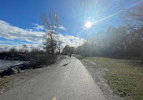 Rattray Marsh Conservation Area