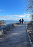 Rattray Marsh Conservation Area