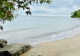 Rattray Marsh Conservation Area