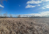 Rattray Marsh Conservation Area