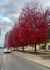 Art Gallery of Mississauga