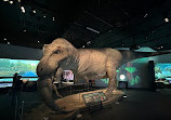 Royal BC Museum