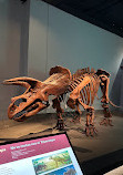 Royal BC Museum