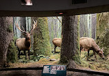 Royal BC Museum