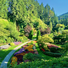 Butchart Gardens Coffee Shop