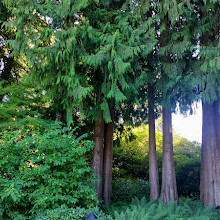 Butchart Gardens Coffee Shop