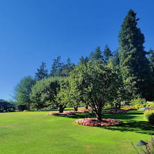 Butchart Gardens Coffee Shop