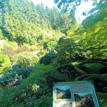 Butchart Gardens Coffee Shop