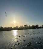 Baisley Pond Park