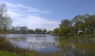 Baisley Pond Park