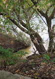 Wissahickon Valley Park Entrance Gorgas Lane