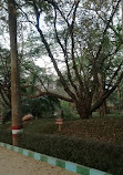 Karanji Lake Boating point.