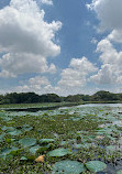 Karanji Lake Boating point.