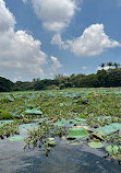 Karanji Lake Boating point.