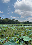 Karanji Lake Boating point.