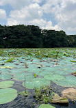 Karanji Lake Boating point.