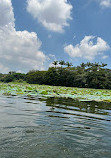 Karanji Lake Boating point.