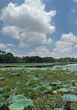 Karanji Lake Boating point.